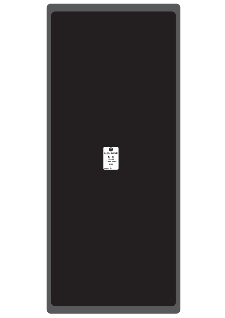 Пластырь R-60 270х880 (1шт/7) 